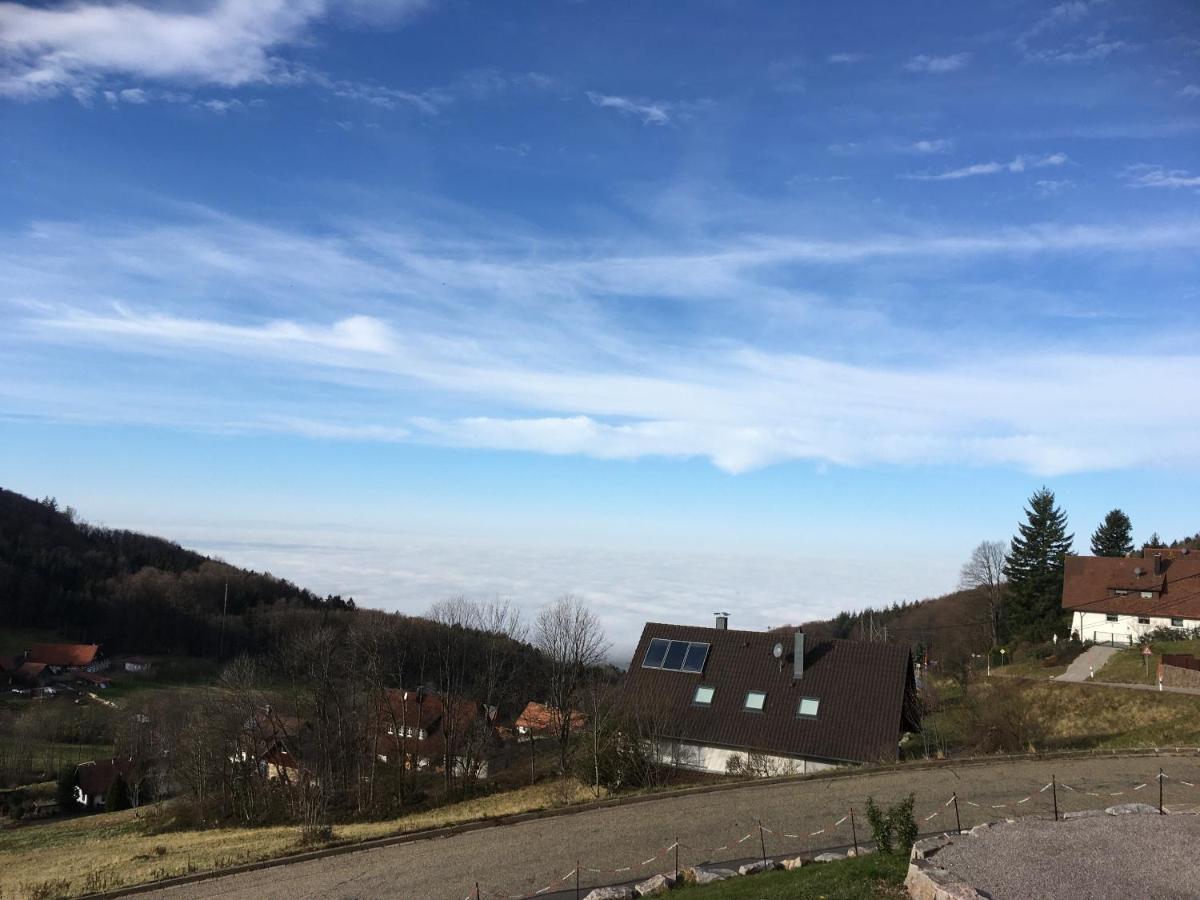 Apartment Ferienwohnung Brandmatt - Weitblick - 54Qm ザスバッハヴァルデン エクステリア 写真