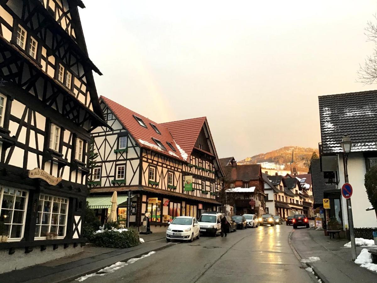 Apartment Ferienwohnung Brandmatt - Weitblick - 54Qm ザスバッハヴァルデン エクステリア 写真